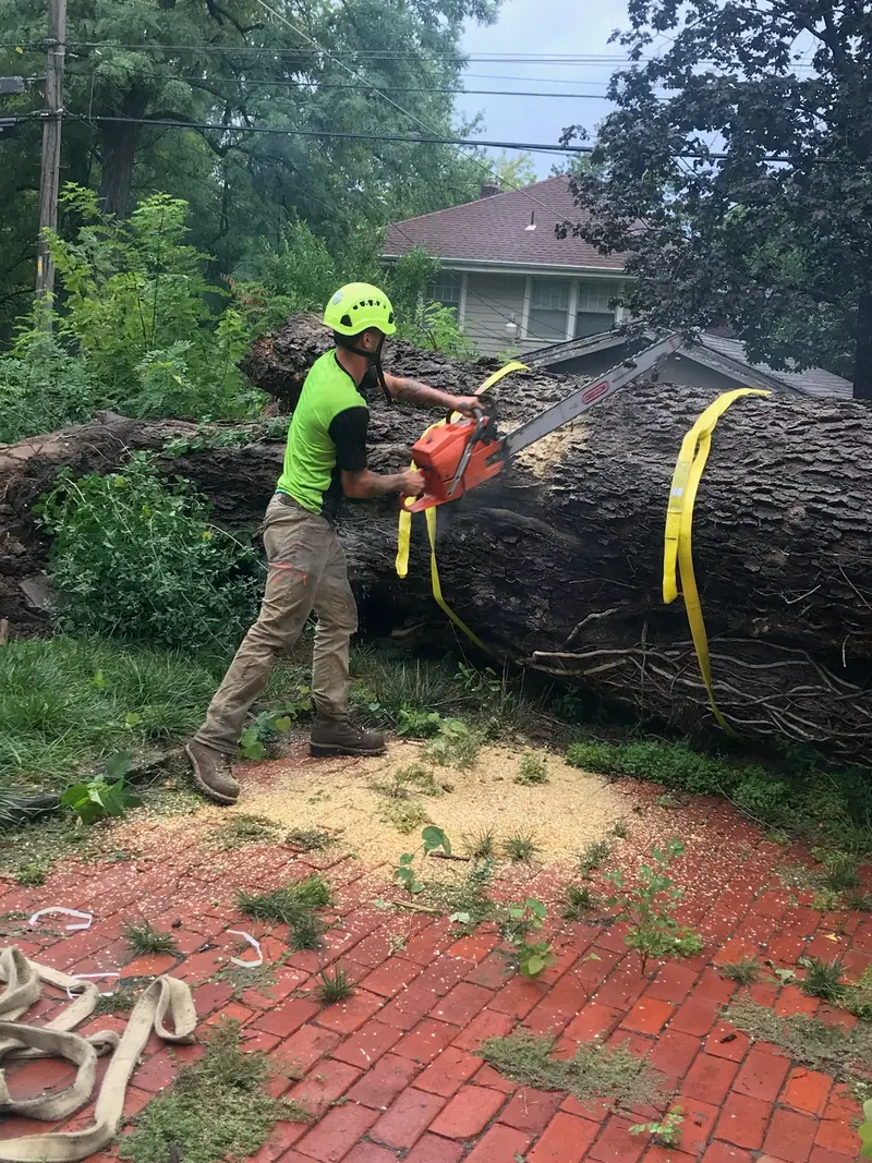 Crew member in hi-vis cutting a large fallen trunk into sections on a brick patio