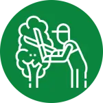White outline graphic of an arborist in a cap pruning a leafy tree with large shears