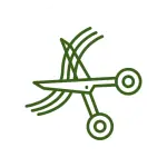 Green line drawing of open scissors cutting through several wavy lines on a white circular background