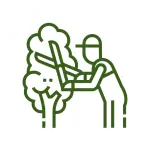 A graphic depicting a person wearing a cap and overalls, using large pruning shears to trim the branches of a leafy tree