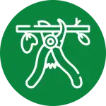 White outline icon of pruning shears cutting a leafy tree branch on a solid green background