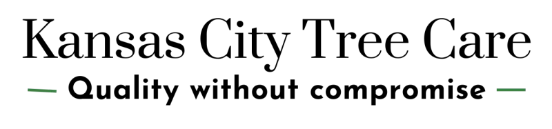 Two short, thin, faint green horizontal lines on a dark black background