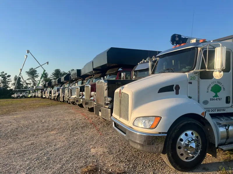 Many tree care trucks with chipper boxes and boom lifts parked on a gravel lot