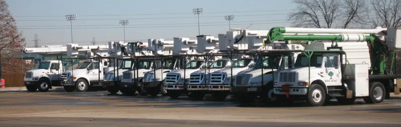 A line of white bucket trucks with green booms parked outdoors, ready for tree care work