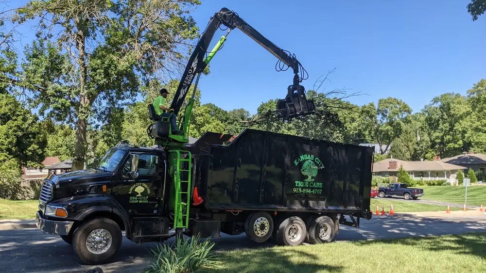 Black grapple truck with a lime-green boom loading brush