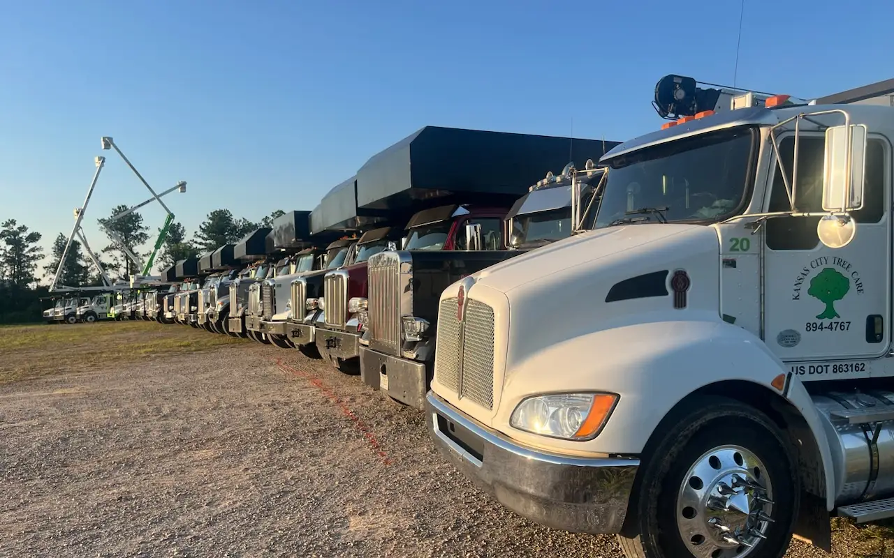 A long row of Kansas City Tree Care chip trucks and grapple trucks lined up in the yard, a white Kenworth lettered Kansas City Tree Care 894-4767 in front