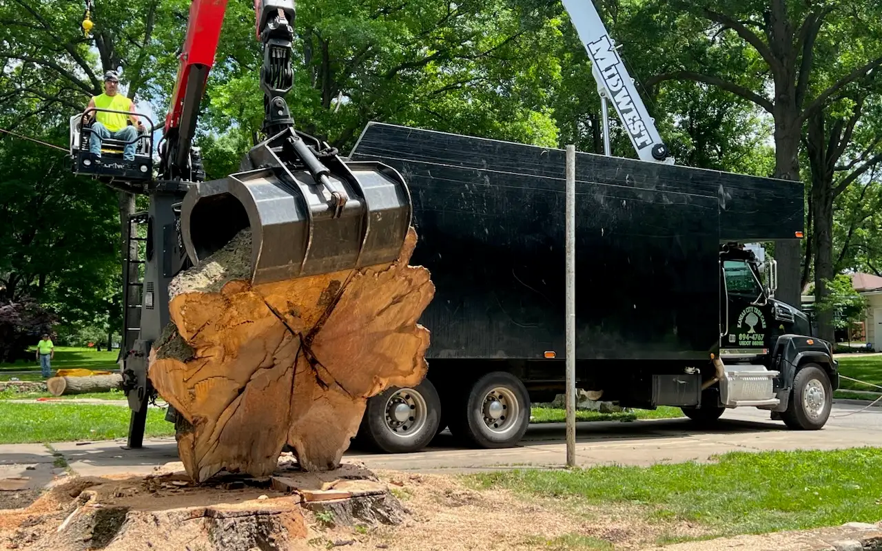Grapple truck lifting a giant trunk round off a stump next to a black Kansas City Tree Care chip truck