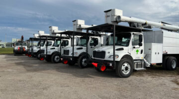 Kansas City Tree Care - tree trimming