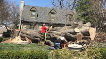 Kansas City Tree Care - KC Arborist - 24/7 Disaster Relief