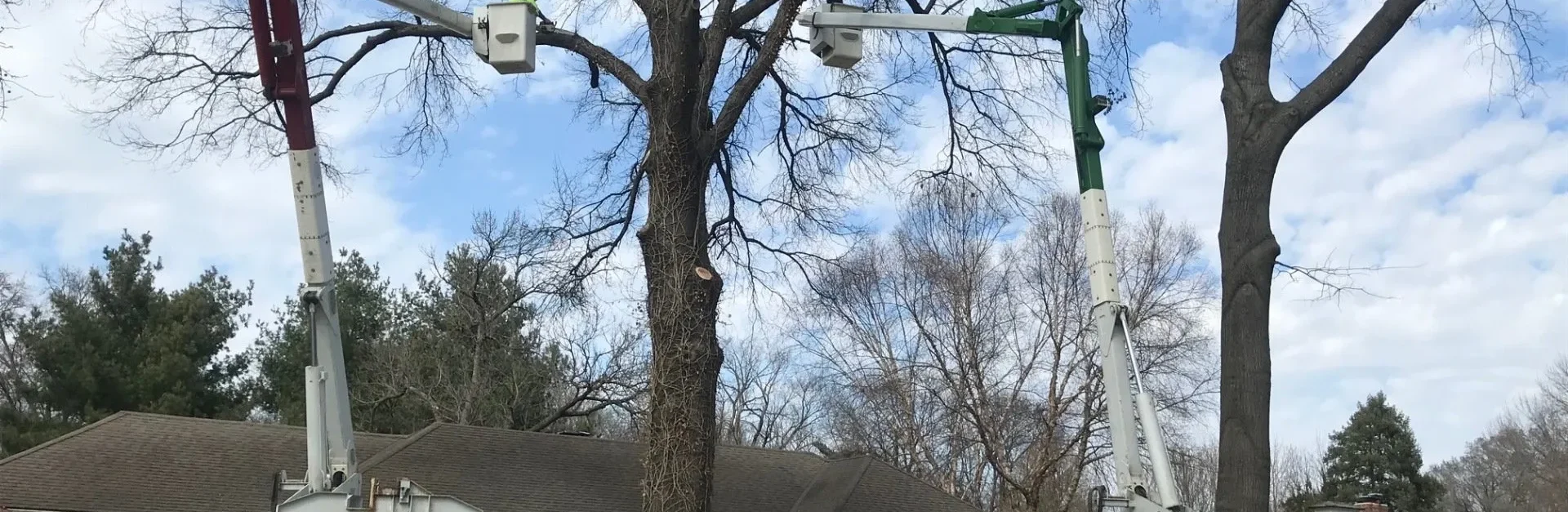 Kansas City Tree Care - KC Arborist - 24/7 Disaster Relief