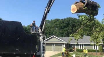 Kansas City Tree Care