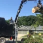 Kansas City Tree Care