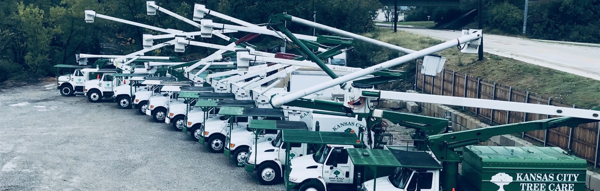 Kansas City Tree Care