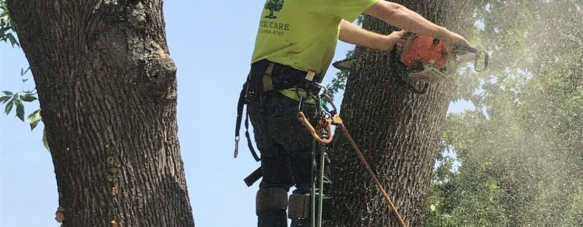 Kansas City Tree Care