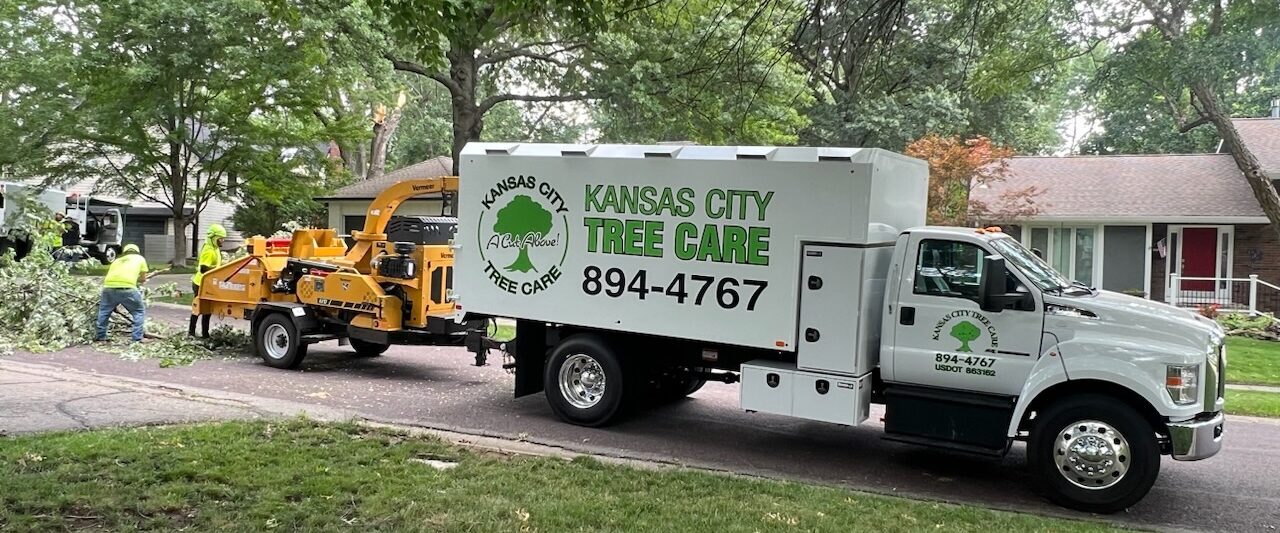 Kansas City Tree Care 5