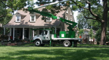 The Importance of Tree Trimming & Pruning for Your Residential Property - KC Arborists - Kansas City Tree Care