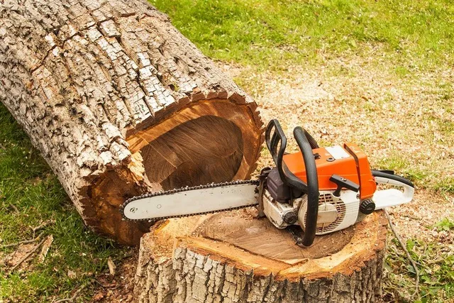 Kansas City Tree Care - Stump Removal