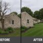 Backyard Tree Transformation