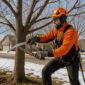 Best Time to Prune Trees
