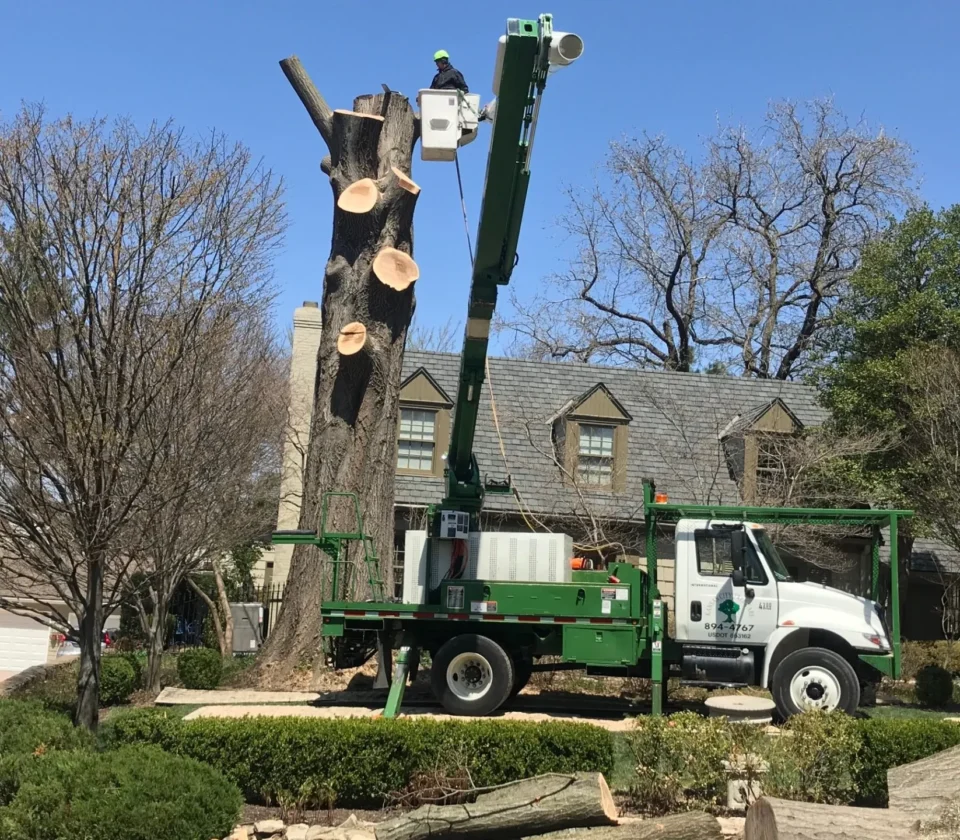 Tree Removal Kansas City