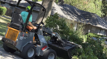 Kansas City Tree Care | 913-894-4767 | Tree Removal | 66205