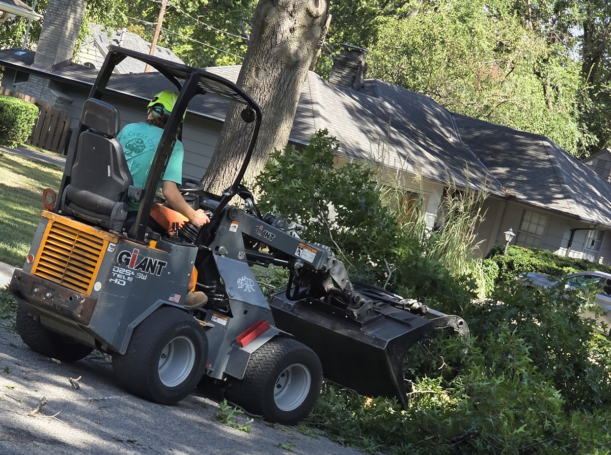 Kansas City Tree Care | 913-894-4767 | Tree Removal | 66205