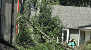 Kansas City Tree Care | 913-894-4767 | Tree Removal | 66205