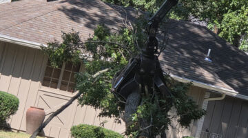 Kansas City Tree Care | 913-894-4767 | Tree Removal | 66205