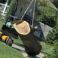 Kansas City Tree Care | 913-894-4767 | Tree Removal | 66205