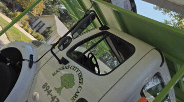 Kansas City Tree Care | 913-894-4767 | Tree Removal | 66205