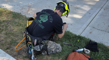 Kansas City Tree Care | 913-894-4767 | Tree Removal | 66205