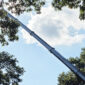 Kansas City Tree Care | 913-894-4767 | Tree Removal | 66205