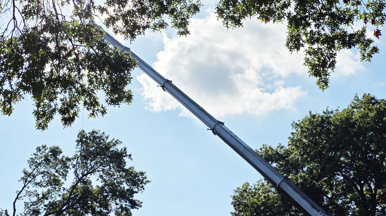 Kansas City Tree Care | 913-894-4767 | Tree Removal | 66205