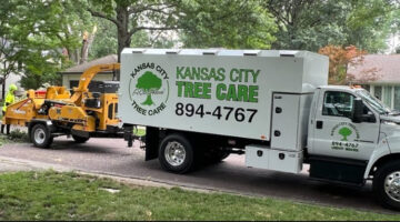 Tree Removal Kansas City | Kansas City Tree Care | 913-894-4767 | 001