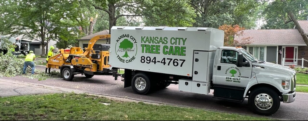 Tree Removal Kansas City | Kansas City Tree Care | 913-894-4767 | 001