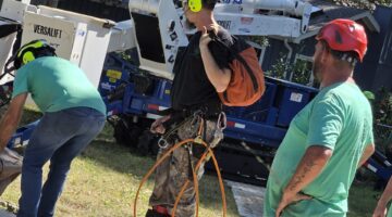 Kansas City Tree Care | 913-894-4767 | Tree Removal | 66205