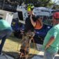 Kansas City Tree Care | 913-894-4767 | Tree Removal | 66205