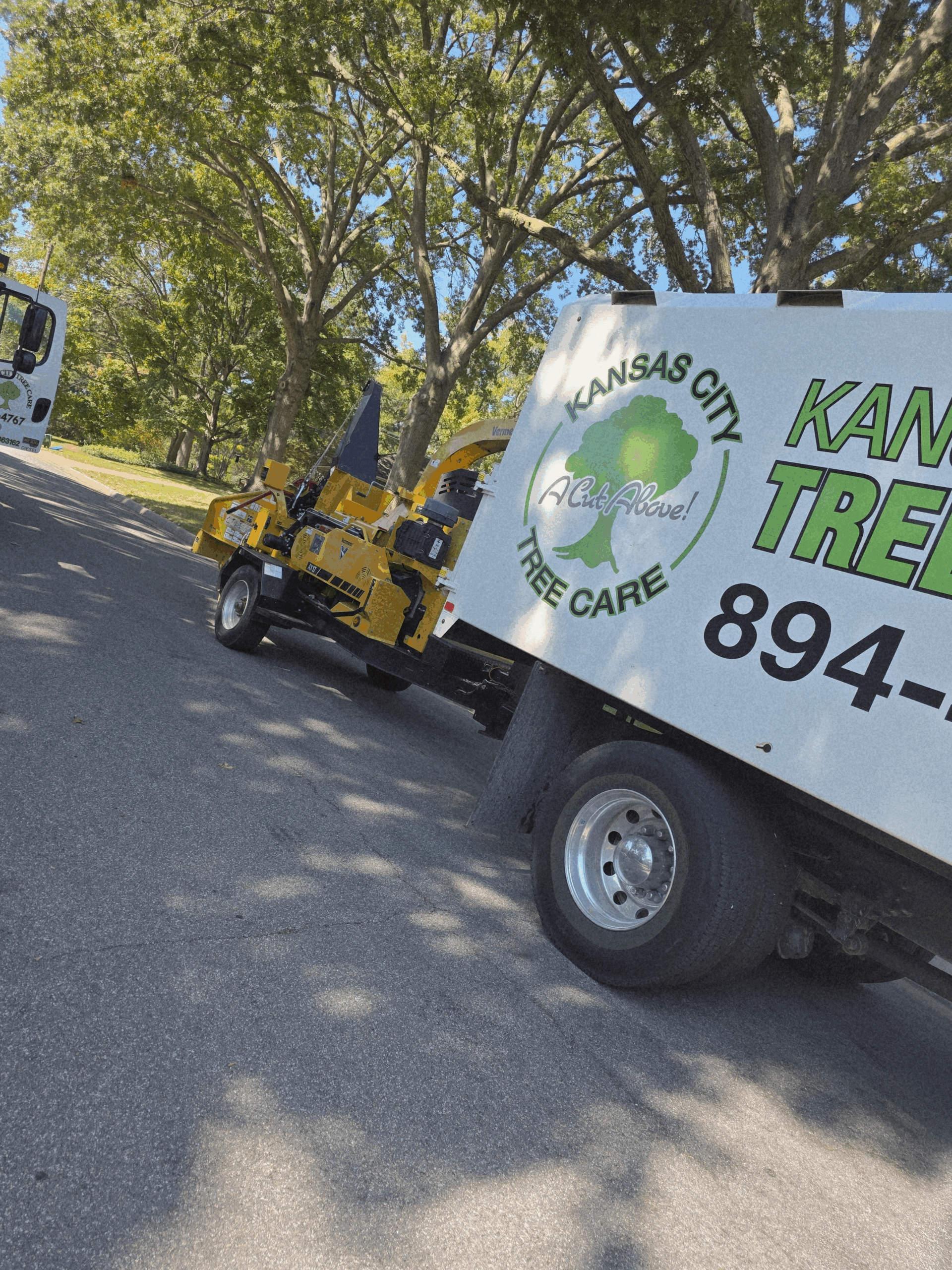 Kansas City Tree Care | 913-894-4767 | Tree Removal | 66205Kansas City Tree Care | 913-894-4767 | Tree Removal | 66205