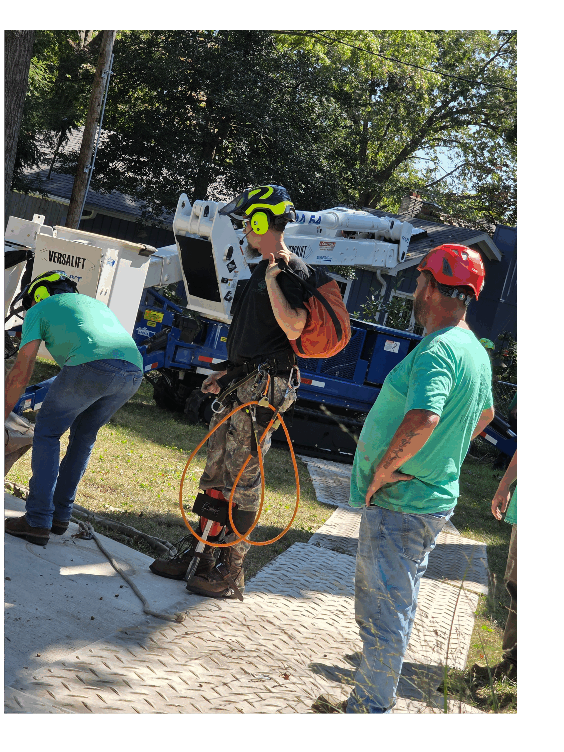 Kansas City Tree Care | 913-894-4767 | Tree Removal | 66205