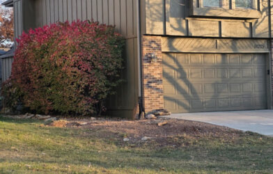 Kansas City Tree Care - 913-894-4767 - Tree Removal - Olathe 66062_1632235_sized