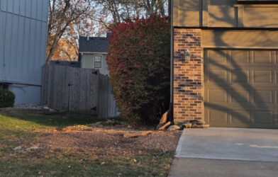 Kansas City Tree Care - 913-894-4767 - Tree Removal - Olathe 66062_163234_sized