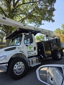 Kansas City Tree Care - 913-894-4767 - Tree Removal - Roeland Park 66205_002