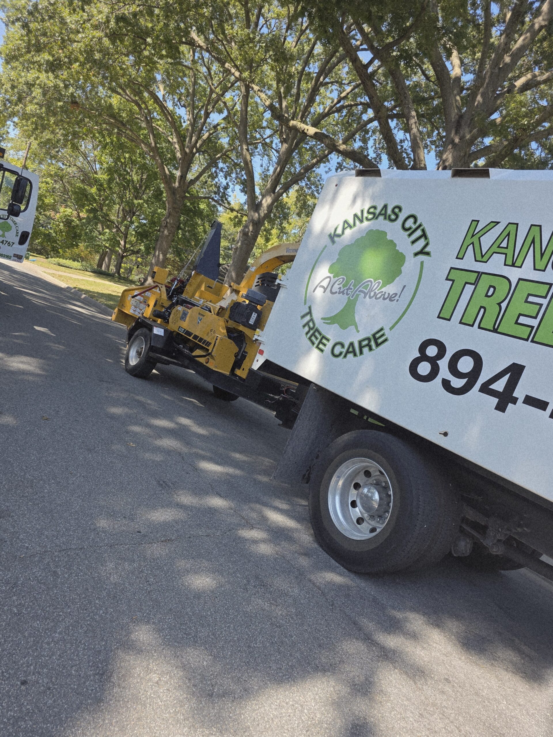 arborist evaluating trees for kansas city tree removal in residential neighborhood, safety helmet clipboard