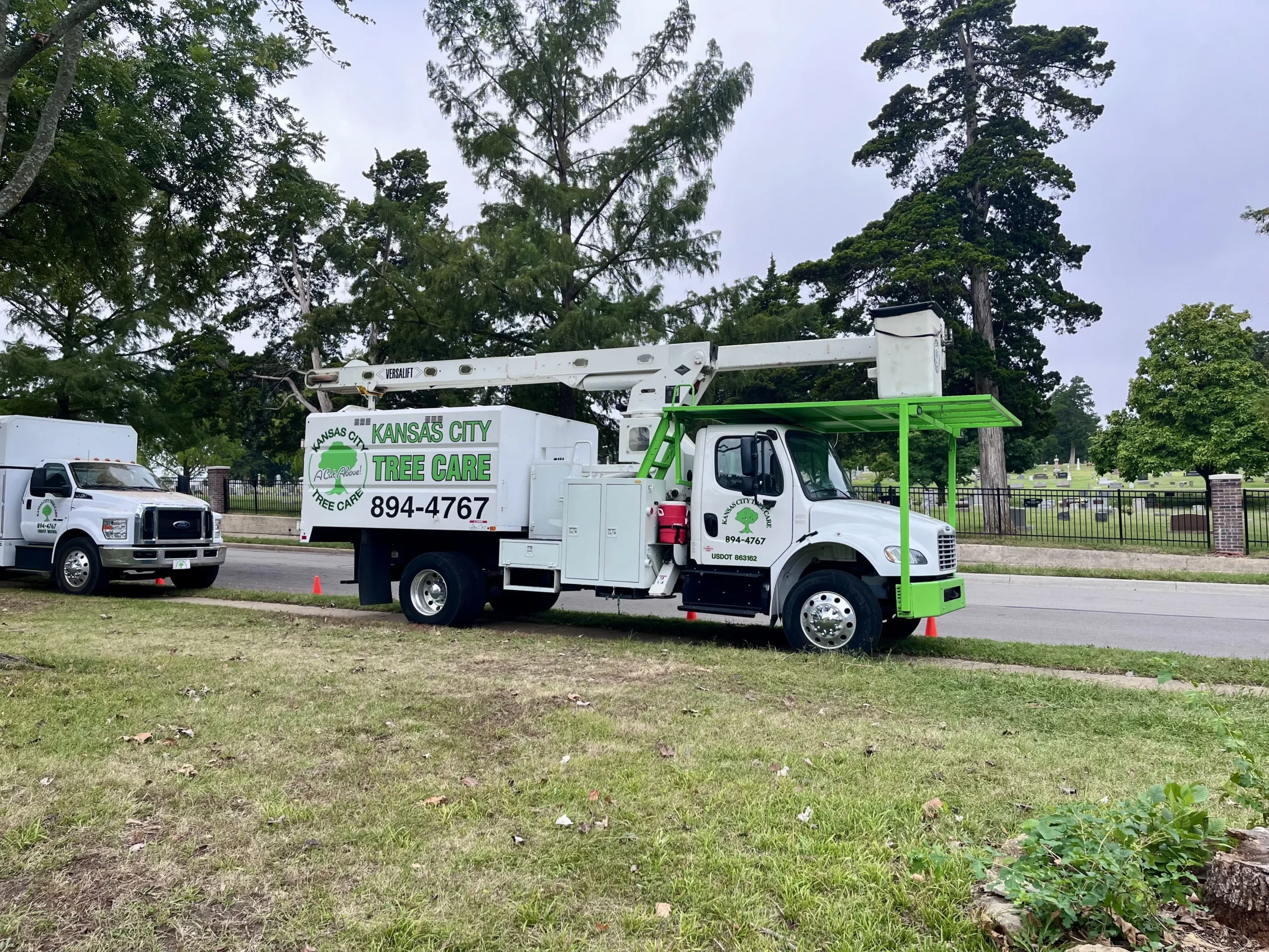 kansas city homeowner shaking hands with kansas city tree care expert after successful tree removal in clean driveway