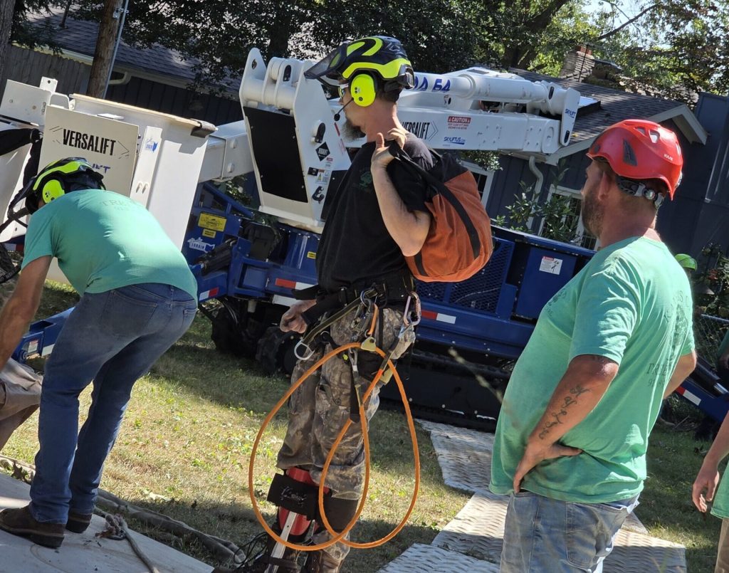 Kansas City Tree Care | 913-894-4767 | Tree Removal | 66205