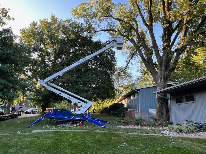 Kansas City Tree Care