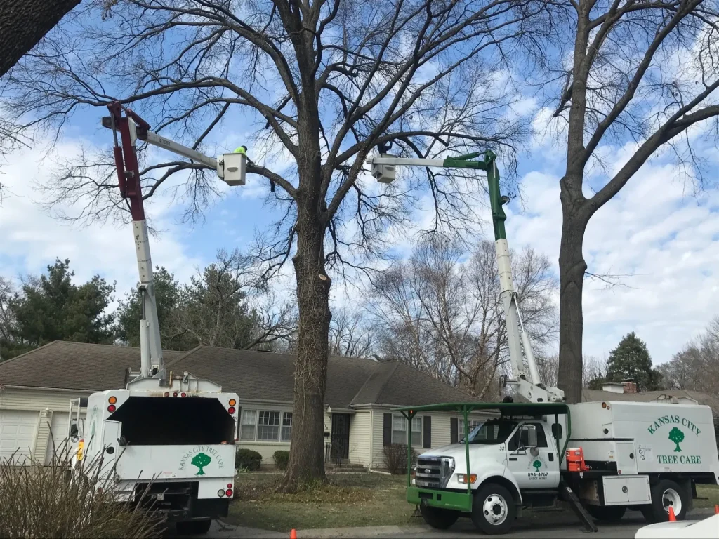Kansas City Tree Care - KC Arborist - 24/7 Disaster Relief