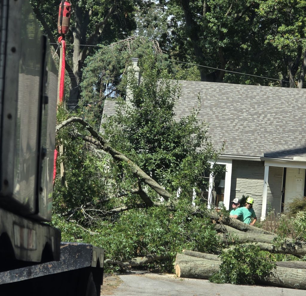 Kansas City Tree Care | 913-894-4767 | Tree Removal | 66205