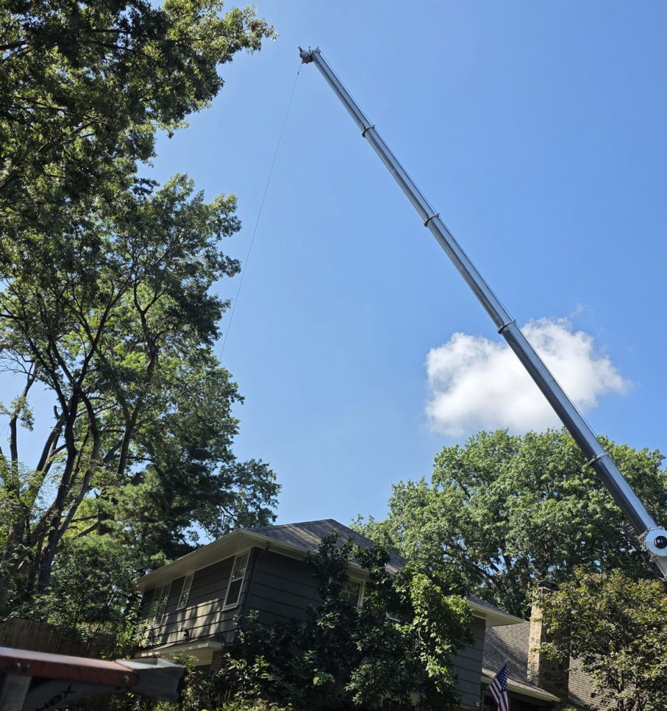 Kansas City Tree Care | 913-894-4767 | Tree Removal | 66205