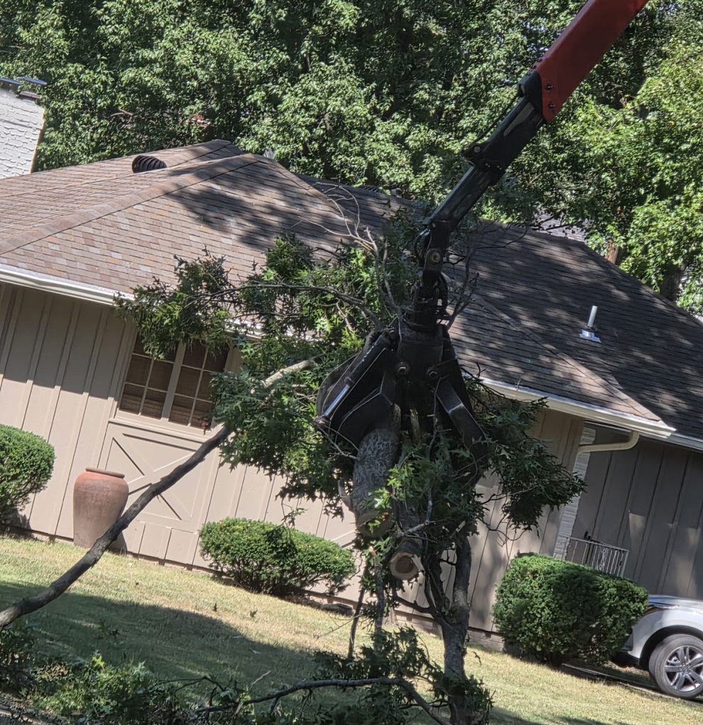 Kansas City Tree Care | 913-894-4767 | Tree Removal | 66205